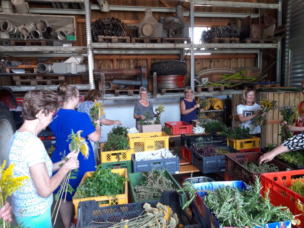PHOTO-2023-08-15-14-41-53 1
